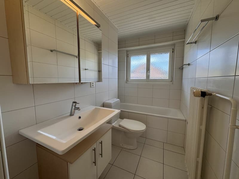 Appartement lumineux 4.0 pièces avec balcon - fraîchement rénové (8)