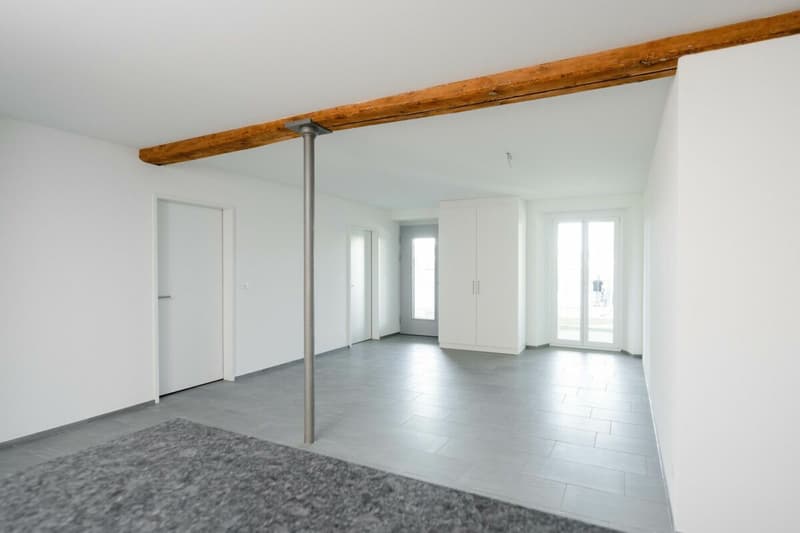 Grosszügige 4.5-Zimmer-Wohnung mit stilvollen Details (3)