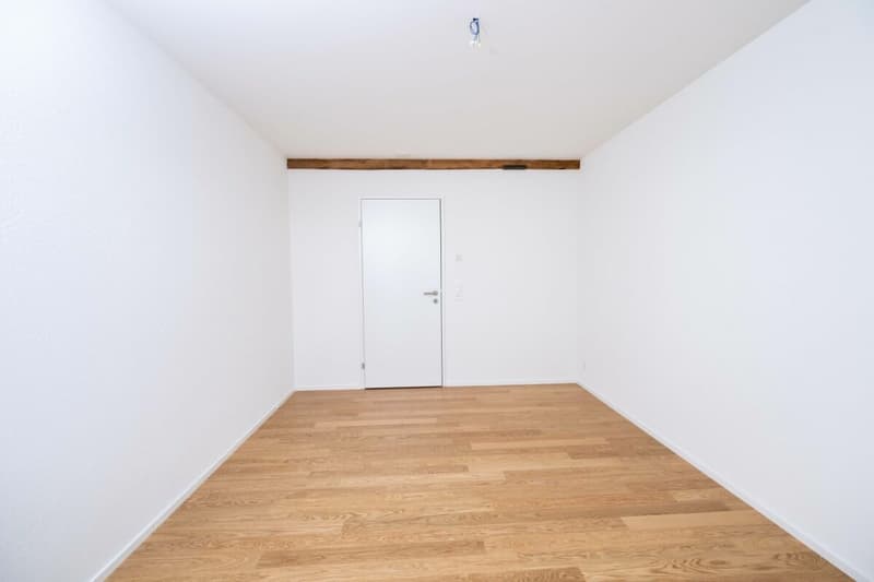 Grosszügige 4.5-Zimmer-Wohnung mit stilvollen Details (5)