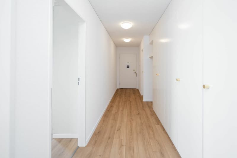 Attikawohnung mit privater Sauna in Aarau (8)