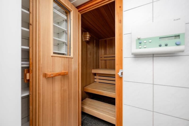 Attikawohnung mit privater Sauna in Aarau (11)
