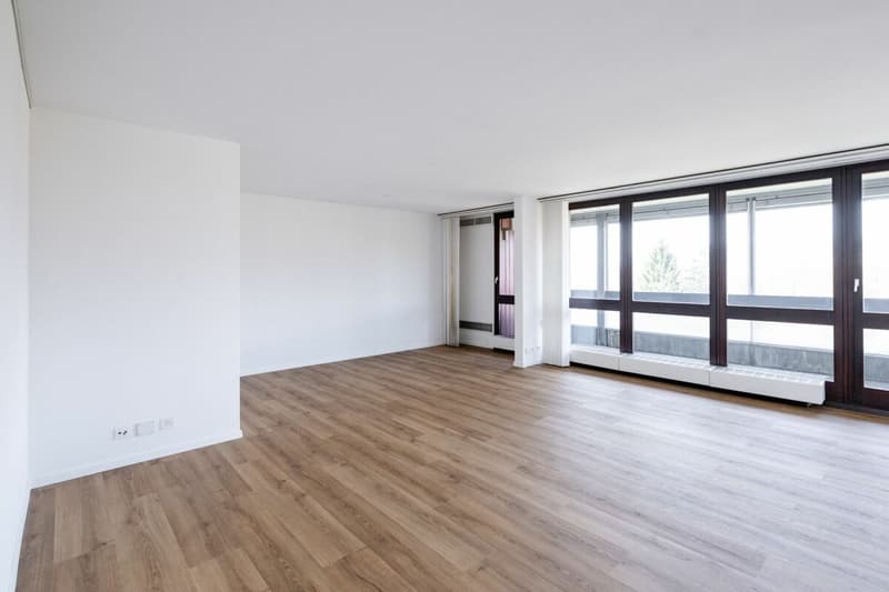 Attikawohnung mit privater Sauna in Aarau (2)