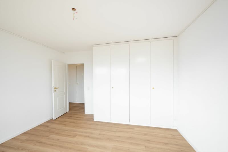 Attikawohnung mit privater Sauna in Aarau (7)
