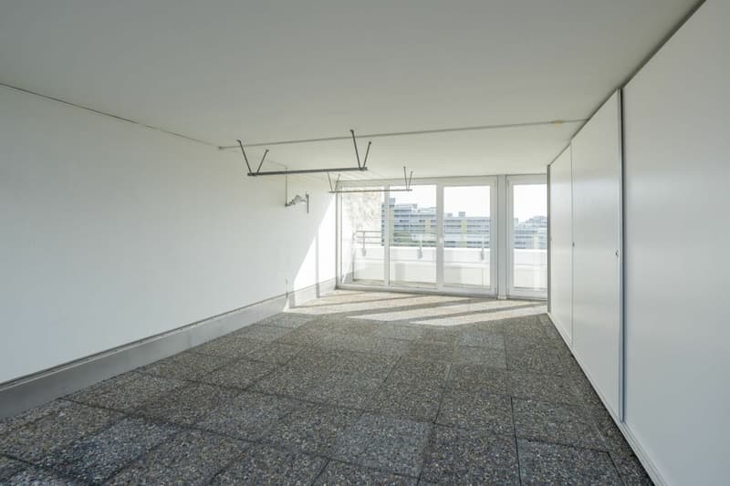 Attikawohnung mit privater Sauna in Aarau (13)