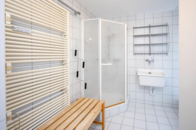 Attikawohnung mit privater Sauna in Aarau (10)