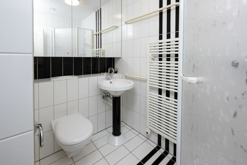 Attikawohnung mit privater Sauna in Aarau (9)