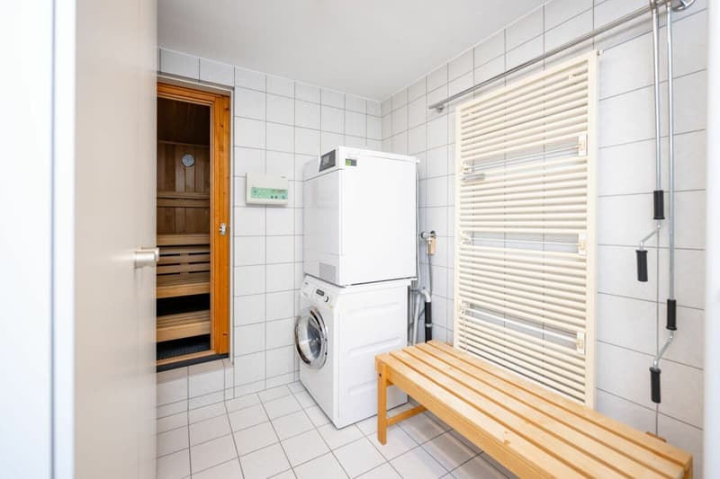 Attikawohnung mit privater Sauna in Aarau (12)