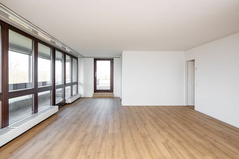 Attikawohnung mit privater Sauna in Aarau (4)