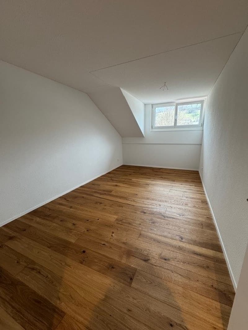 Wooden floor, white walls, window in the ceiling, empty room