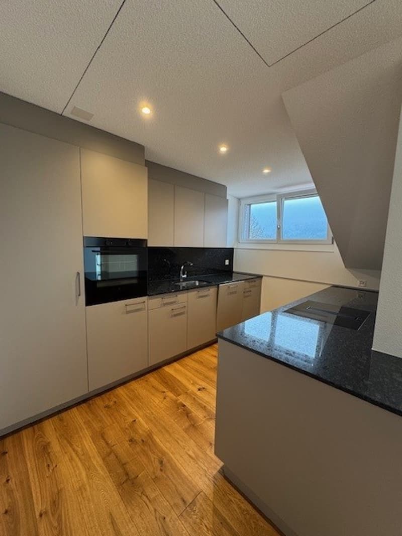 modern kitchen, granite countertop, stainless steel appliance, wooden floor, white cabinetry, natural light