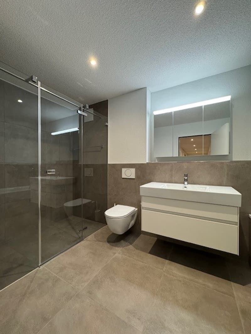 modern bathroom, white sink, toilet, walk-in shower, mirror
