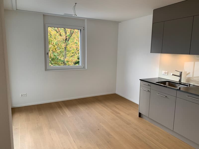 Modern 3.5-room apartment (3)