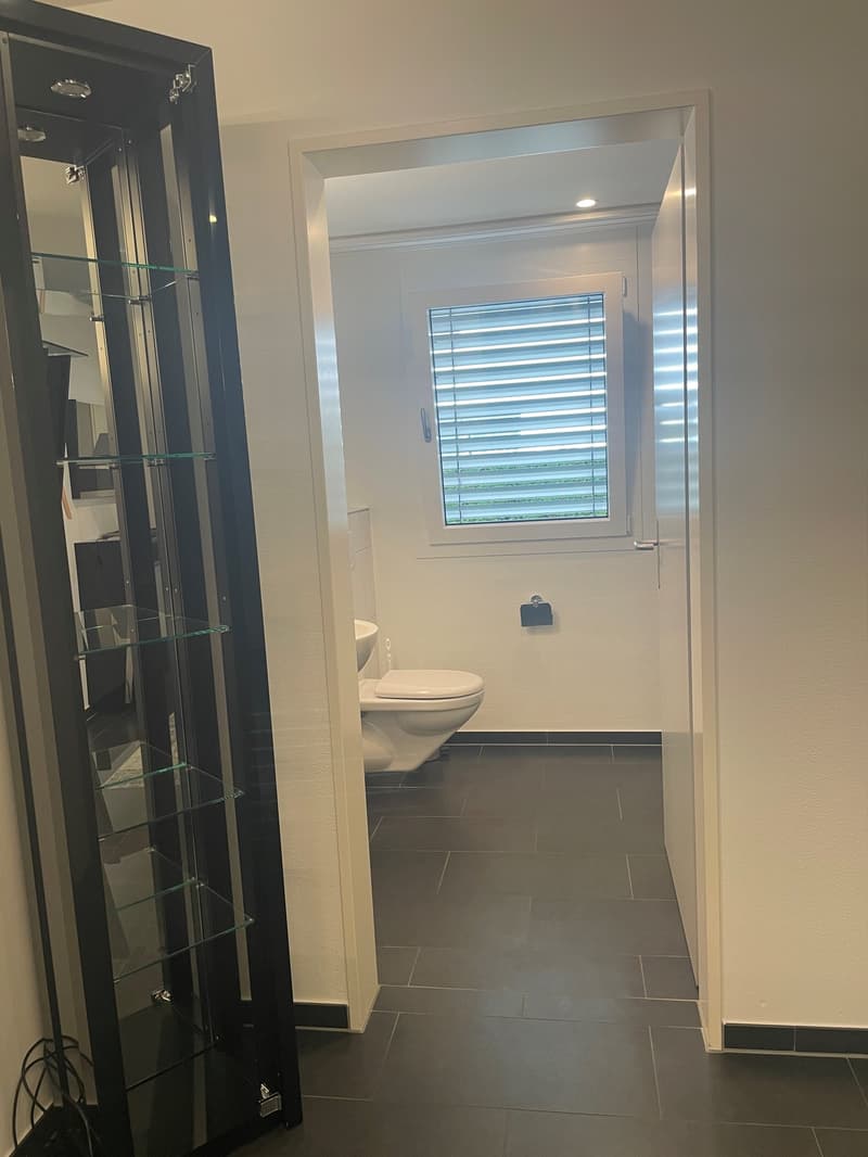 Bathroom with glass-enclosed shower, toilet, and vanity cabinet with mirror. The floor is tiled in a dark gray color. There is a small window with horizontal blinds providing natural light.