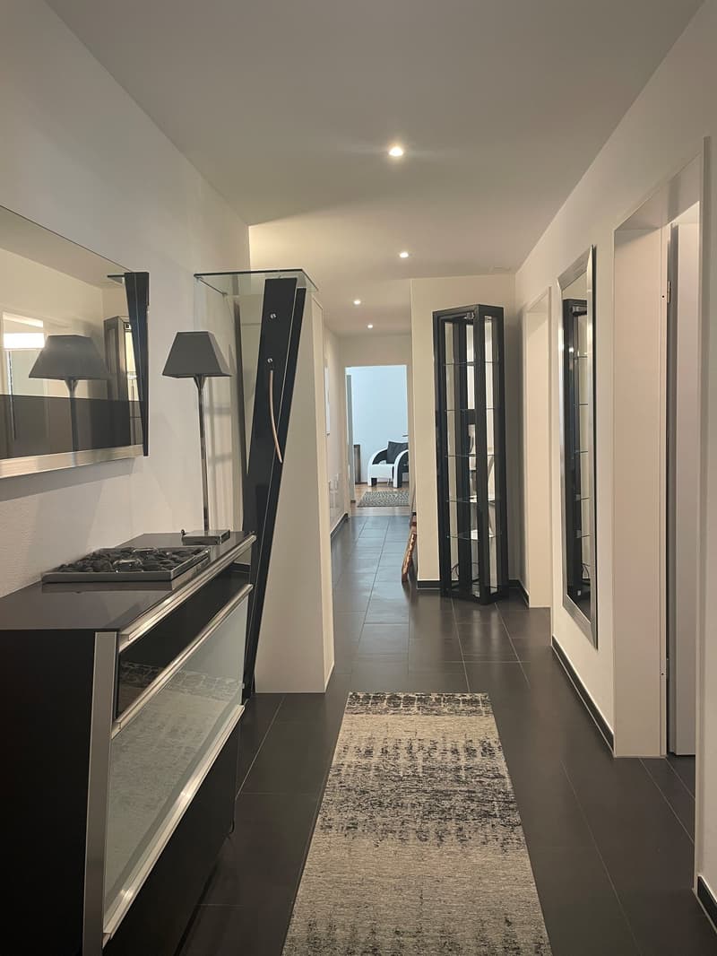 The image shows a modern and minimalist hallway with white walls, dark tile flooring, and black furniture and decor elements. The hallway features a built-in cabinet or storage unit with a dishwasher, as well as two tall, narrow display cabinets or shelve