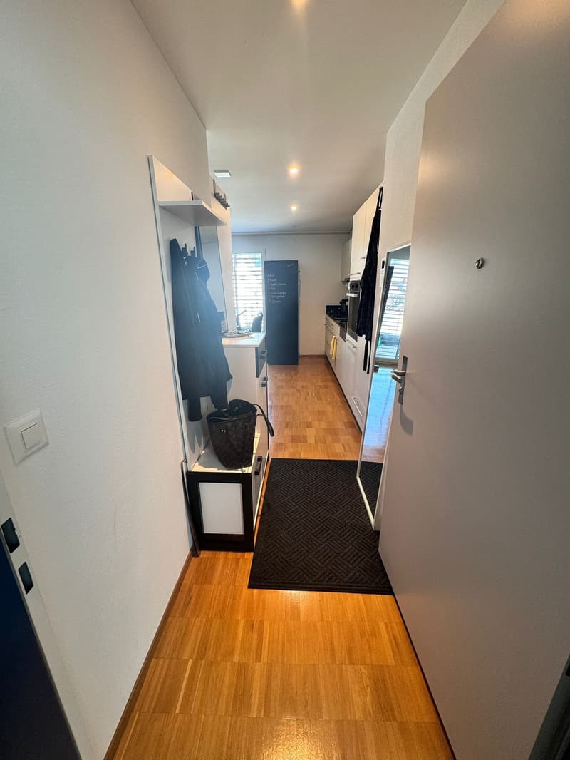 Sunny 2.5 room apartment with balcony (4)