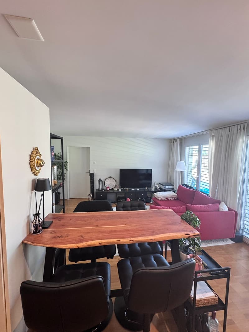 Sunny 2.5 room apartment with balcony (13)