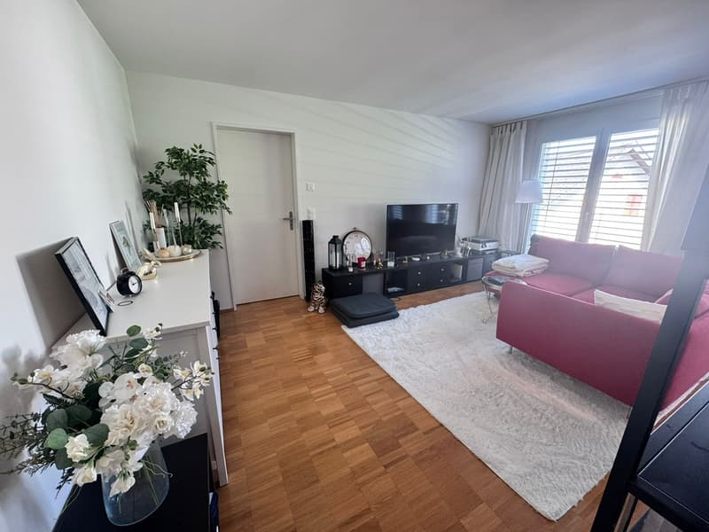 Sunny 2.5 room apartment with balcony (14)