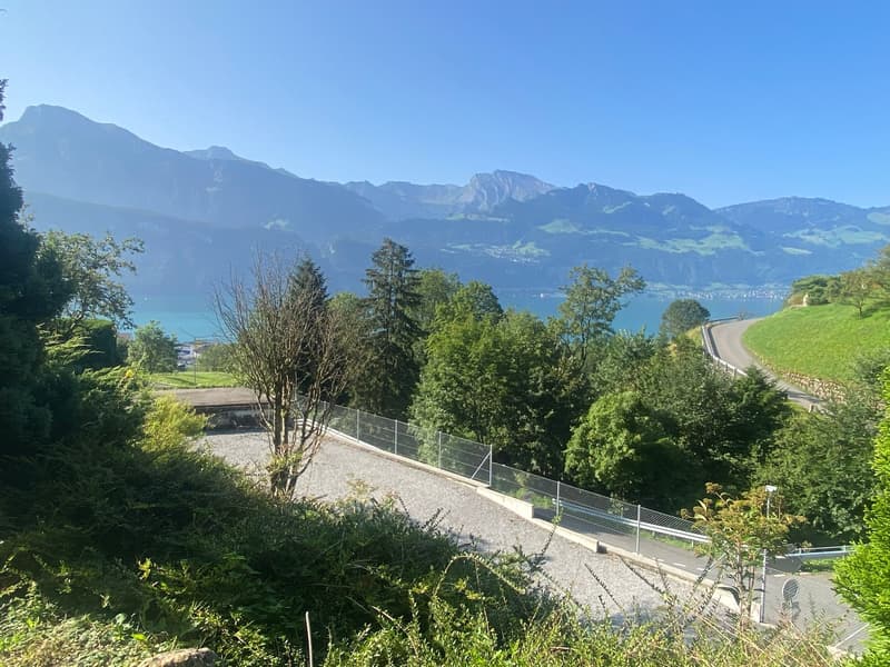 Charmant appartement 1 pièce avec vue sur le lac à Gersau (13)