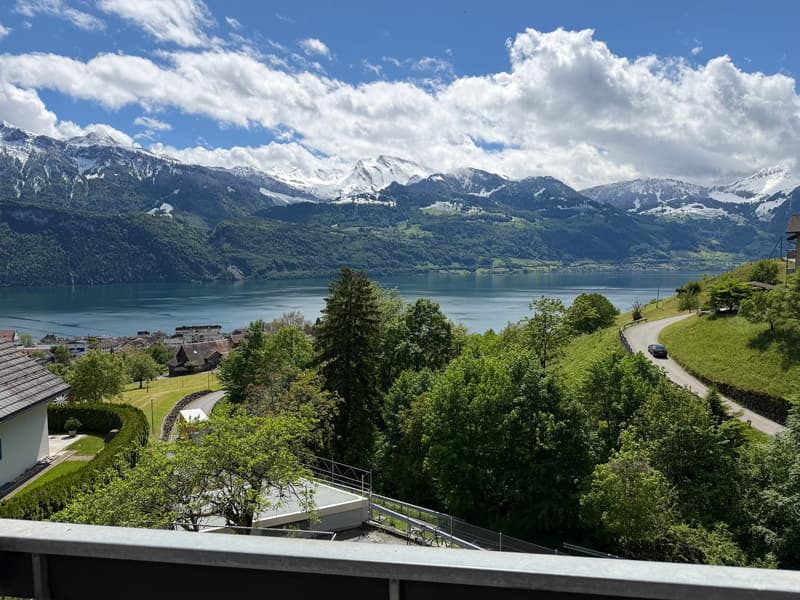 Charmant appartement 1 pièce avec vue sur le lac à Gersau (11)