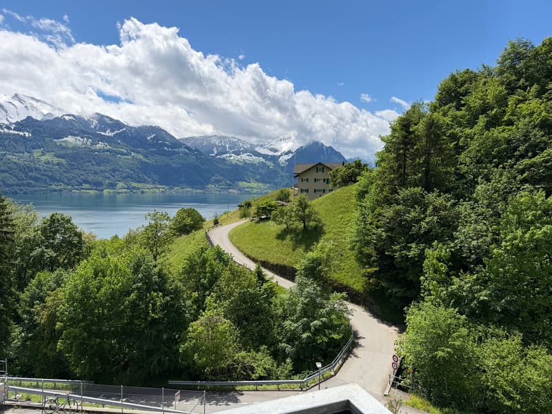 Charmant appartement 1 pièce avec vue sur le lac à Gersau (10)