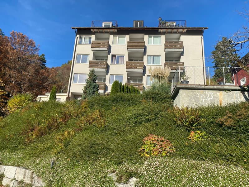 Charmant appartement 1 pièce avec vue sur le lac à Gersau (4)