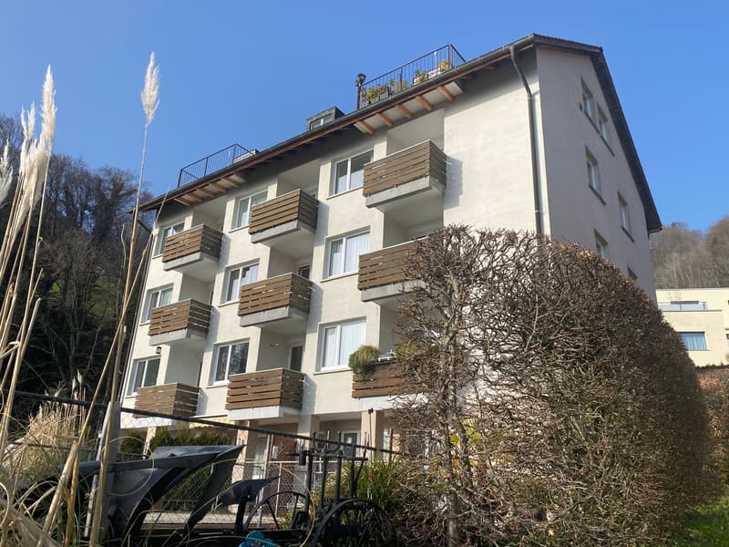 Charmant appartement 1 pièce avec vue sur le lac à Gersau (3)