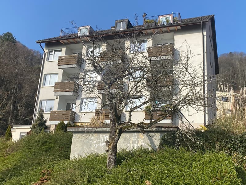 Charmant appartement 1 pièce avec vue sur le lac à Gersau (2)
