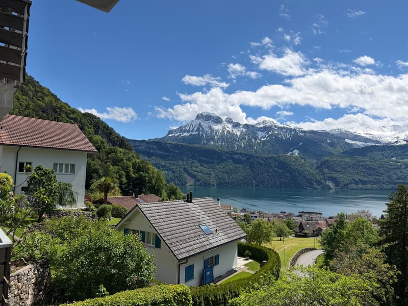 Charmant appartement 1 pièce avec vue sur le lac à Gersau (12)