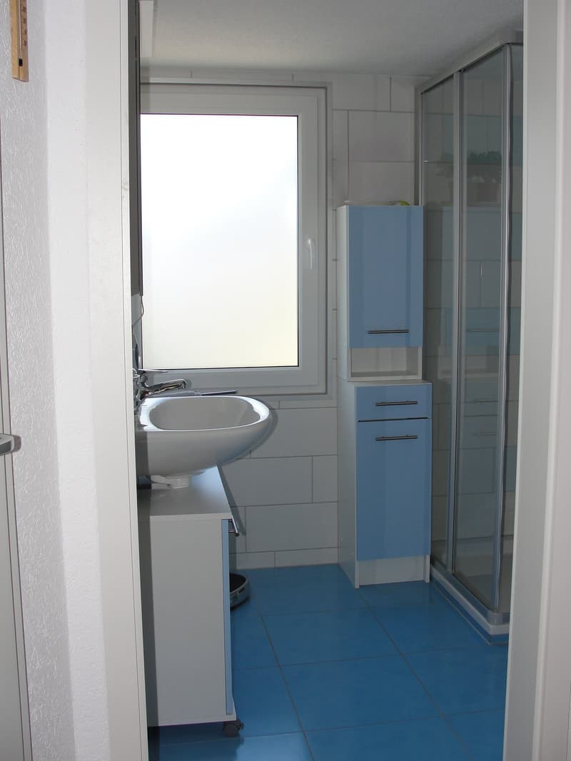 Charmante 4.5-Zimmer-Duplexwohnung an zentraler Lage in Schwyz (11)