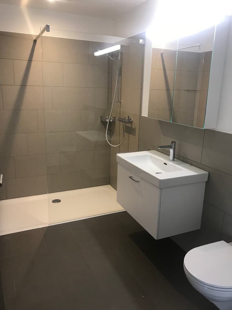 Moderne 2.5-Zimmerwohnung an ruhiger Lage in Steinen (5)