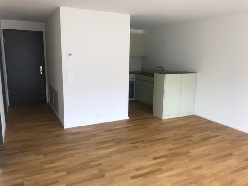 Moderne 2.5-Zimmerwohnung an ruhiger Lage in Steinen (3)