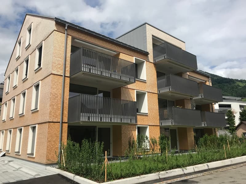 Moderne 2.5-Zimmerwohnung an ruhiger Lage in Steinen (2)