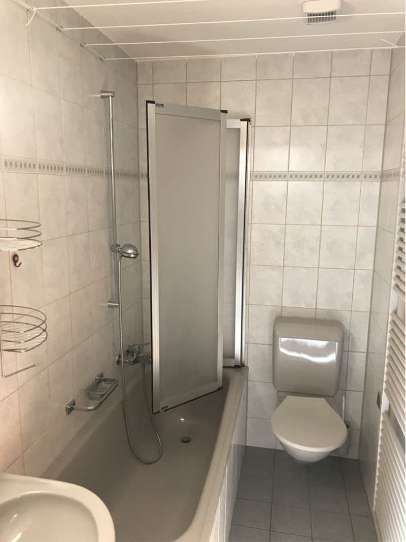 Charmante 2-Zimmer-Erdgeschosswohnung in Sisikon (4)