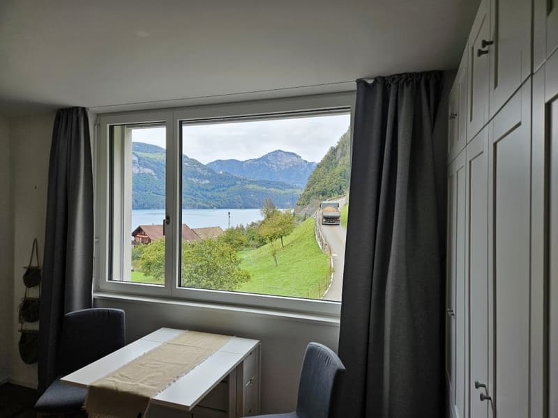 Charmantes Studio mit Panoramablick in Sisikon (8)