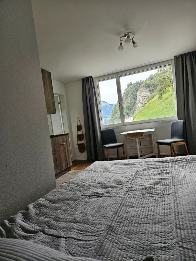 Charmantes Studio mit Panoramablick in Sisikon (5)