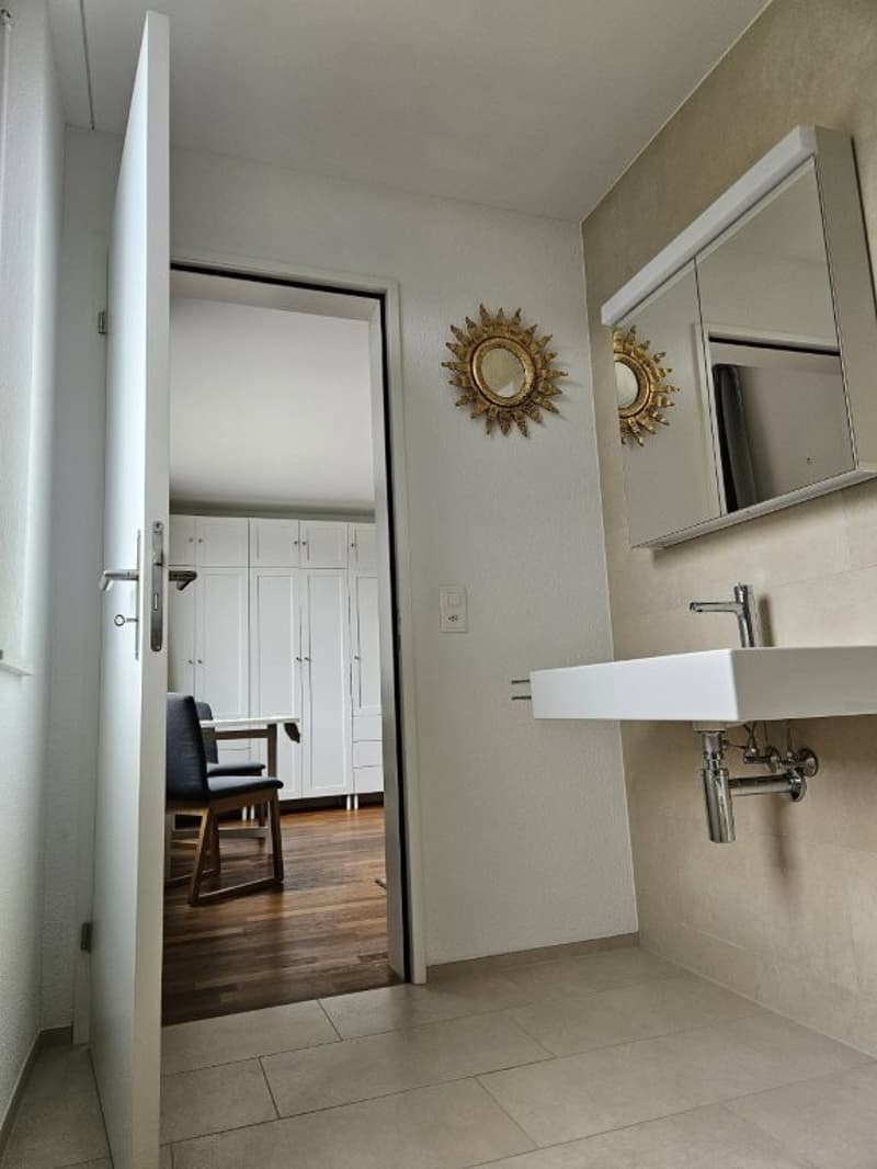 Charmantes Studio mit Panoramablick in Sisikon (7)