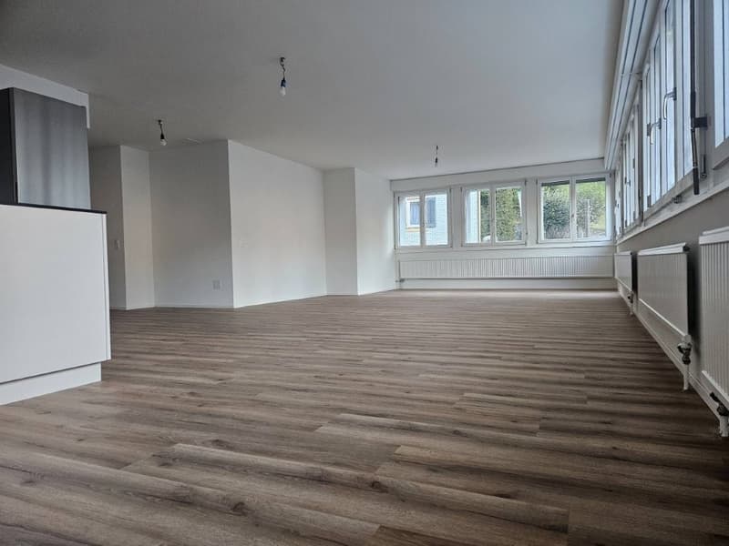 Charmante 2-Zimmerwohnung an der Bahnhofstrasse in Sisikon (6)