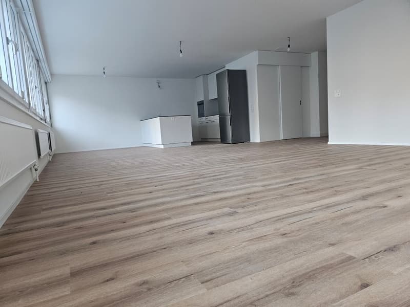 Charmante 2-Zimmerwohnung an der Bahnhofstrasse in Sisikon (5)