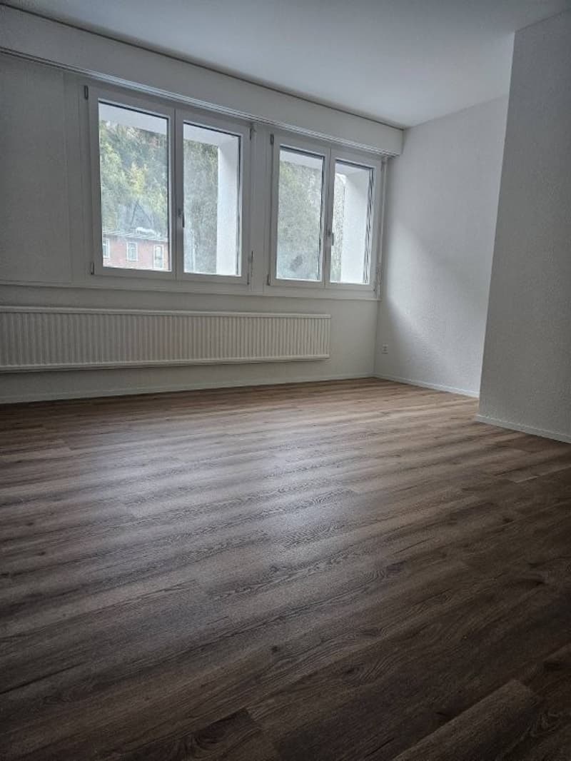 Charmante 2-Zimmerwohnung an der Bahnhofstrasse in Sisikon (8)