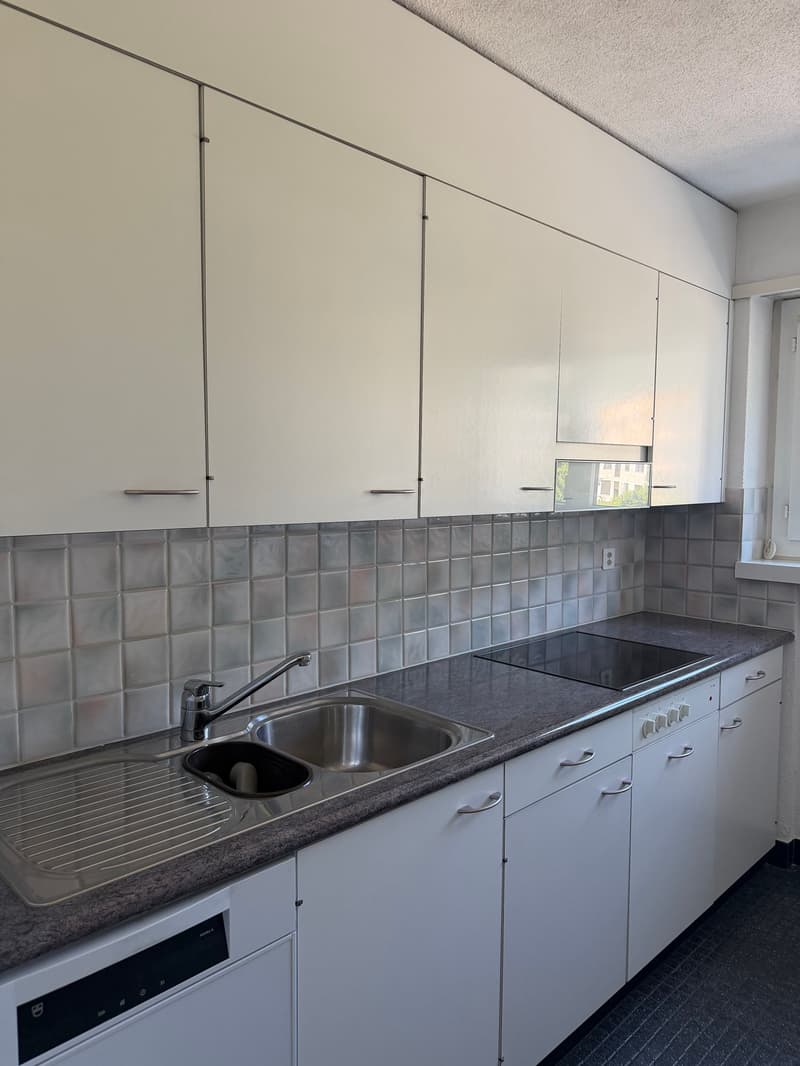Affascinante appartamento di 5 locali con balcone e vista panoramica ad Altdorf (10)