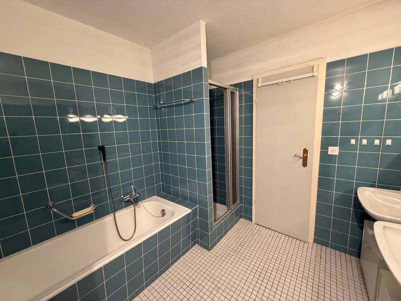 Affascinante appartamento di 5 locali con balcone e vista panoramica ad Altdorf (13)