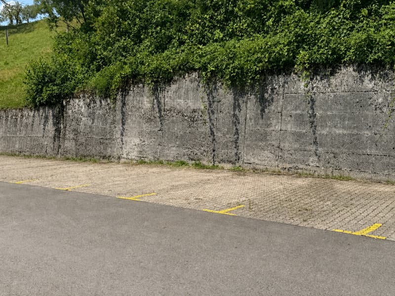Aussenparkplätze - Ideal für Zweitautos sowie saisonale Fahrzeuge (2)
