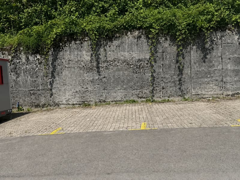 Aussenparkplätze - Ideal für Zweitautos sowie saisonale Fahrzeuge (3)