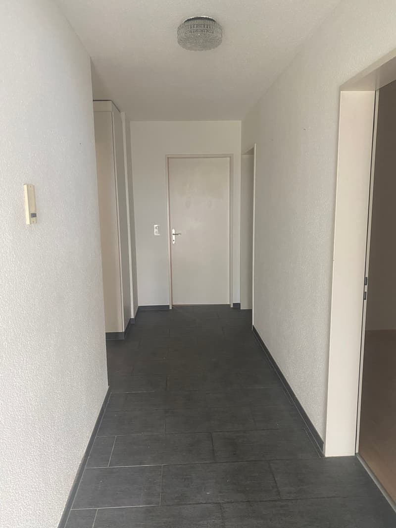 5.5-Zimmerwohnung mit Wintergarten in Flüelen (11)