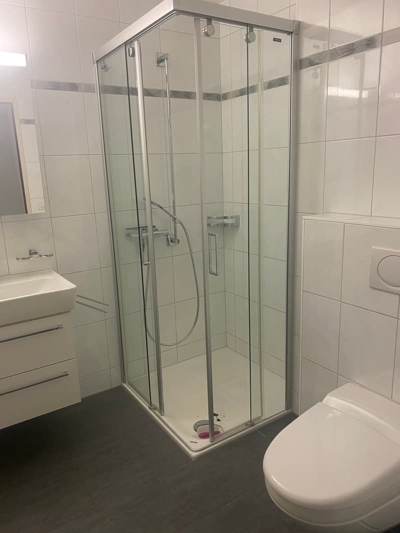 5.5-Zimmerwohnung mit Wintergarten in Flüelen (15)
