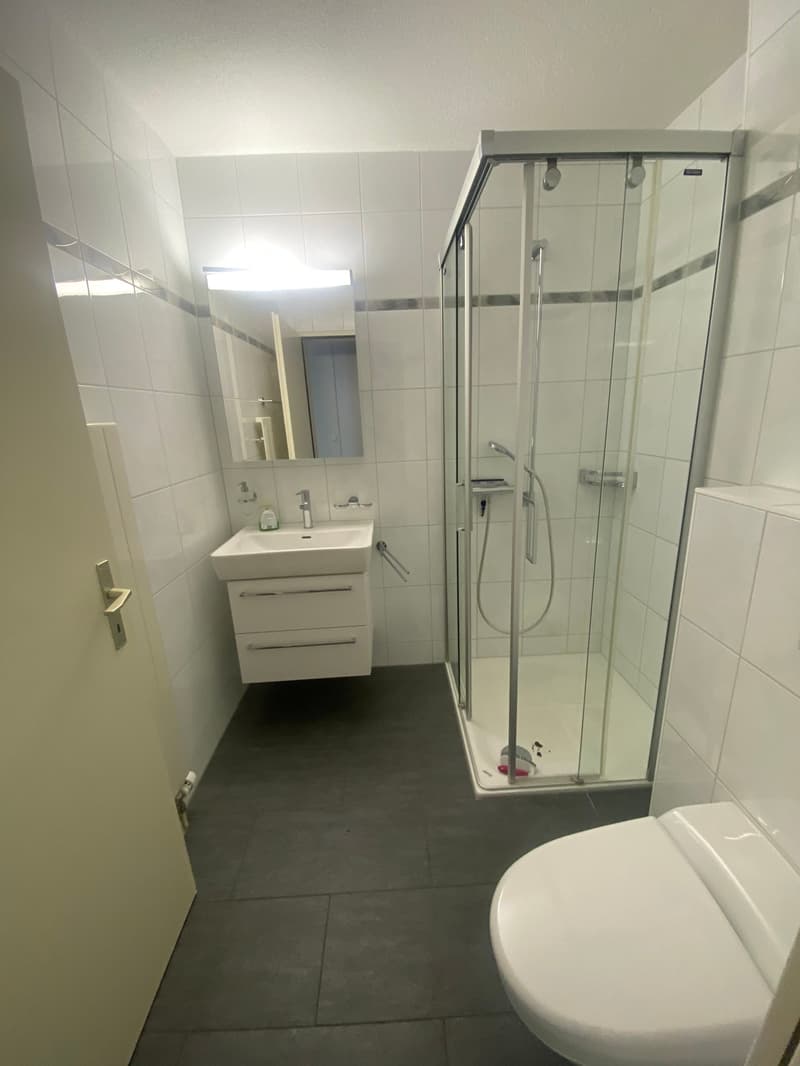 5.5-Zimmerwohnung mit Wintergarten in Flüelen (14)