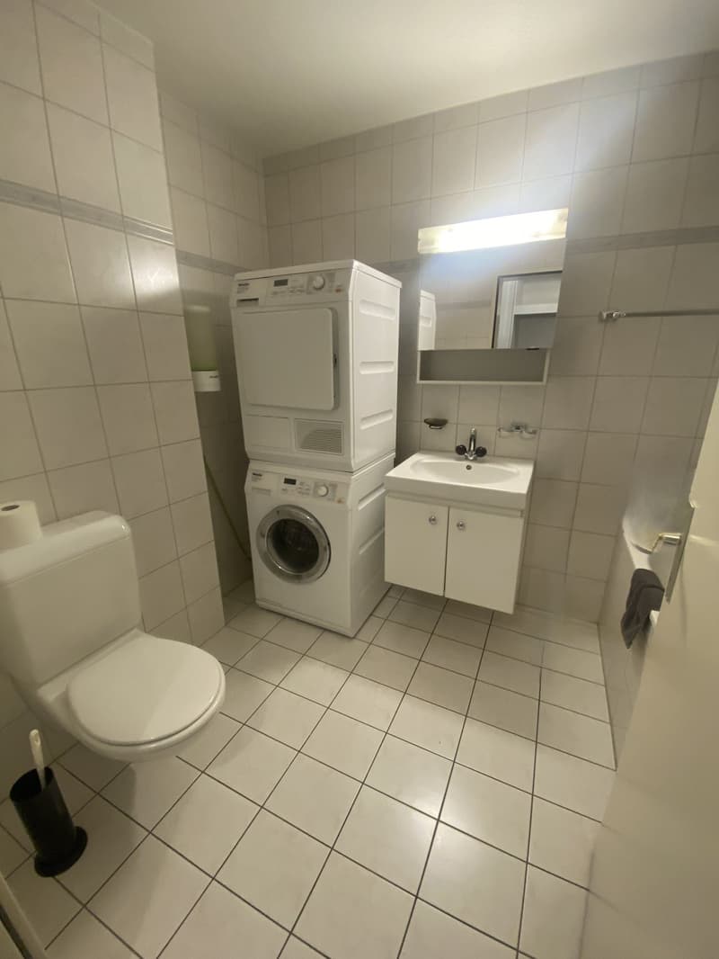 5.5-Zimmerwohnung mit Wintergarten in Flüelen (12)