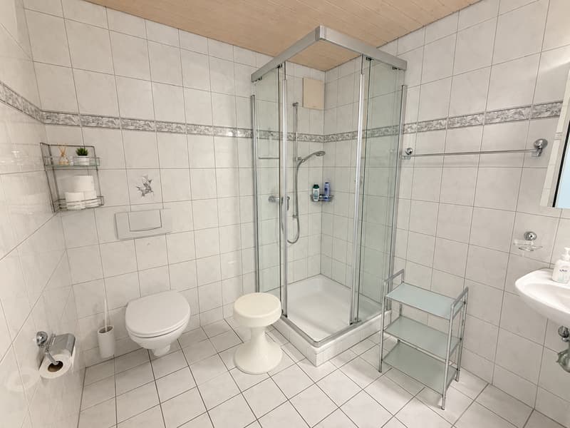 Charmante 5.5-Zimmer-Dachwohnung mit Bergpanorama in Schattdorf (20)