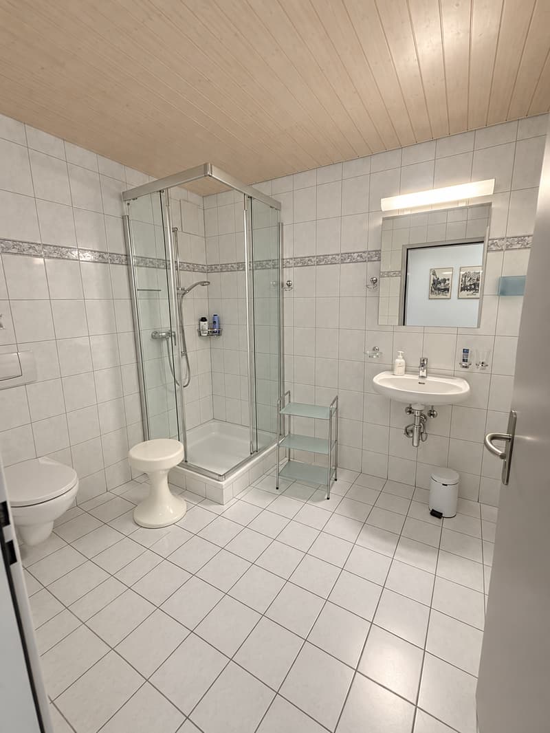 Charmante 5.5-Zimmer-Dachwohnung mit Bergpanorama in Schattdorf (19)