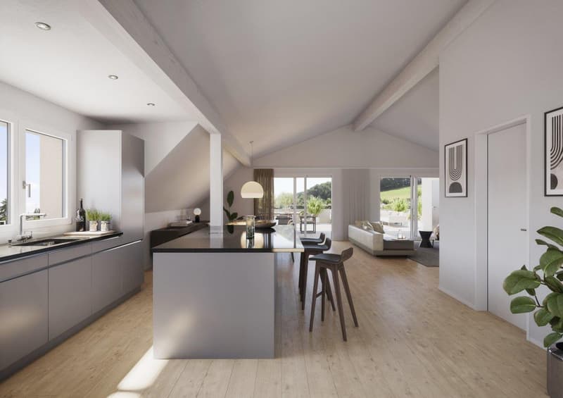 Last, unique attic apartment on one floor with direct elevator access "at Gerenbach" (2)